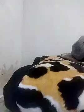 Snapshot of CertifiedSatisfier chatting on 10.29.25 CertifiedSatisfier online show from 10.29.25