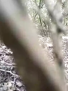 Snapshot of CertifiedSatisfier chatting on 11.12.25 CertifiedSatisfier online show from 11.12.25