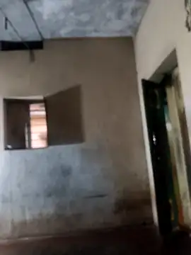 PolarFriend0 online show from 02.17.26