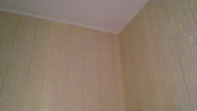  Black-Panther  online show from 11.12.25