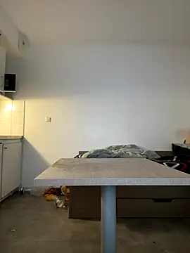 Snapshot of Renoirmonter chatting on 11.11.25 Renoirmonter online show from 11.11.25