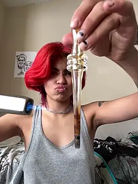 Harley cams online show from 03.17.25