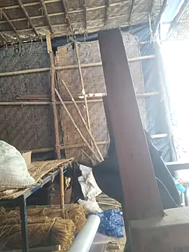 hot integer online show from 02.21.26