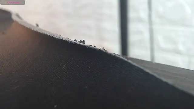 nei girl online show from 11.30.25