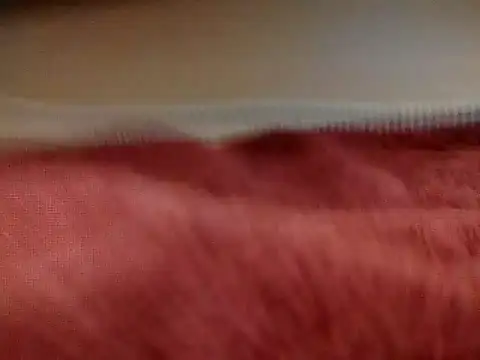 sexiebabi online show from 03.16.26