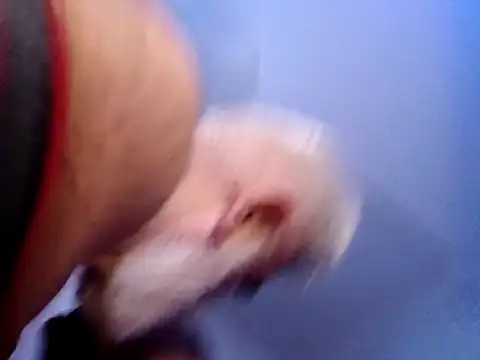 CloudyMuscleBeefy online show from 11.26.25