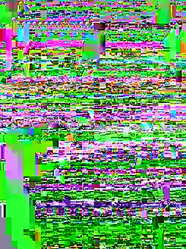 Punjabi Jaati online show from 12.19.25