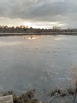 Snapshot of elliot_scott chatting on 10.22.25 elliot scott online show from 10.22.25