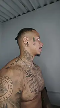 David tatto1 online show from 05.17.26
