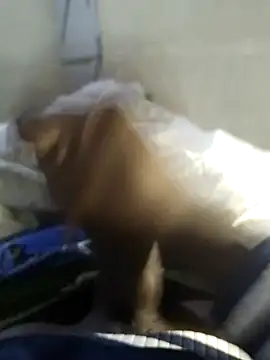 92donis online show from 11.20.25