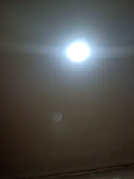 xiomitaa online show from 05.01.26