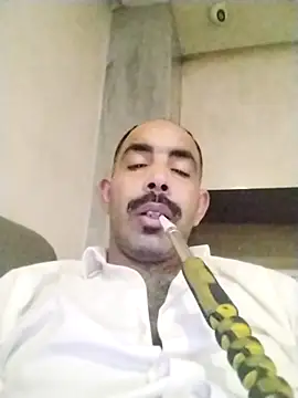 salimbasha online show from 11.29.25