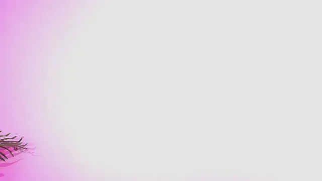 Lana ortega online show from 07.05.26