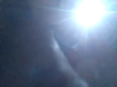 S C1 online show from 02.05.26