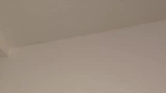 Snapshot of Aleecandrews chatting on 11.24.25 Aleecandrews online show from 11.24.25