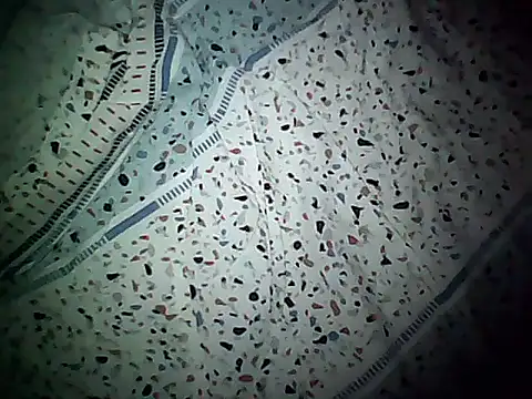 Snapshot of 20cmloiro chatting on 11.08.25 20cmloiro online show from 11.08.25