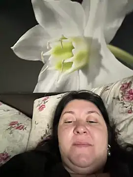 Liza Will online show from 02.19.26