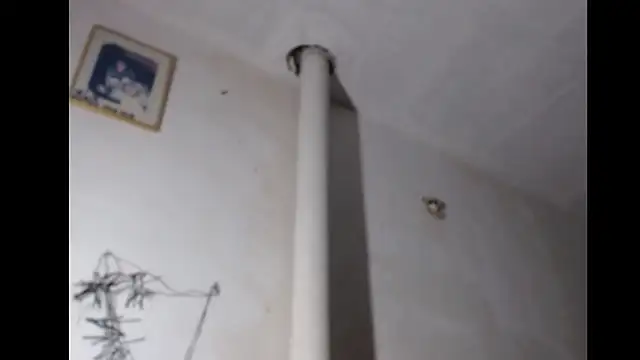 BebaFoxx online show from 03.03.26