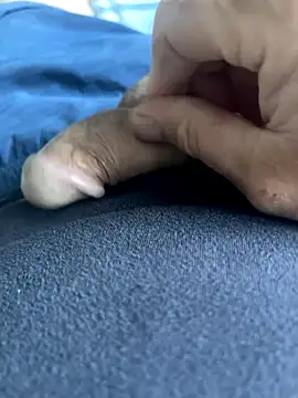 BobKat online show from 10.05.25