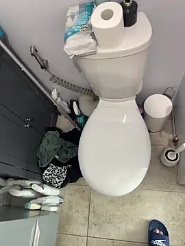 BobKat online show from 11.01.25