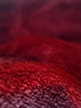 saneer69tew online show from 02.26.26