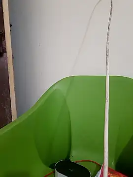 Snapshot of AnkitaDevi chatting on 01.19.26 AnkitaDevi online show from 01.19.26