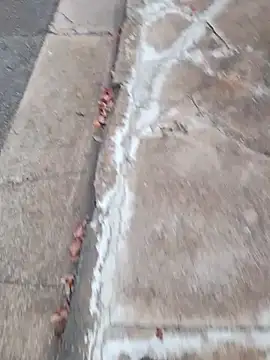 dickcurved38 online show from 02.20.26