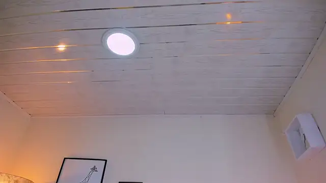 LusyKitty online show from 12.02.25