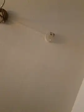 Snapshot of LightskinBumpa chatting on 11.15.25 LightskinBumpa online show from 11.15.25