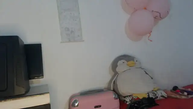 Snapshot of Victoria_new chatting on 11.19.25 Victoria new online show from 11.19.25