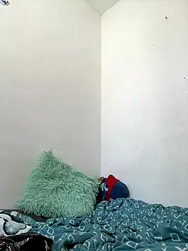 Snapshot of methme chatting on 12.01.25 methme online show from 12.01.25