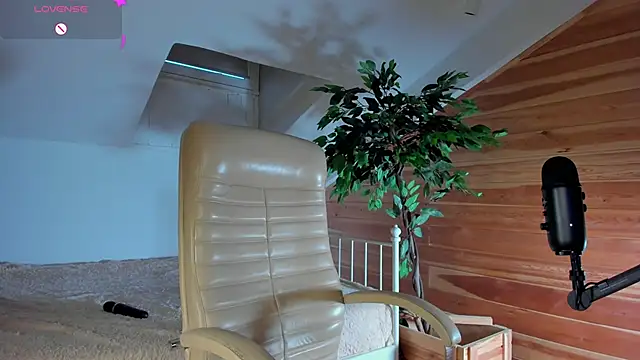 AuroraShoww online show from 11.20.25