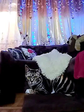 Snapshot of SquirtMilf00 chatting on 02.18.25 SquirtMilf00 online show from 02.18.25