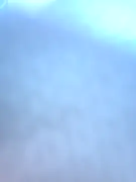 mojaymort online show from 11.12.25