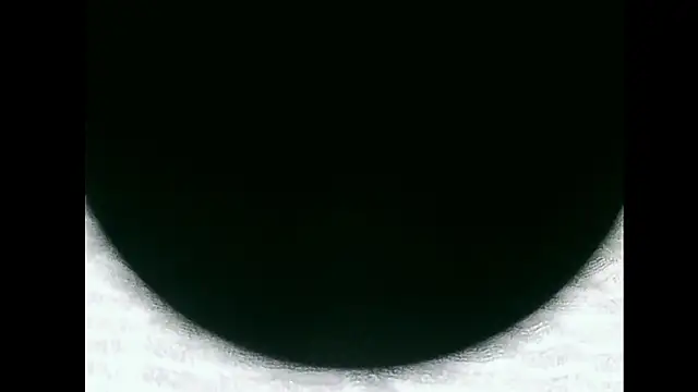 santinini2 online show from 04.11.26