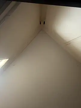 curis4270panda online show from 11.26.25