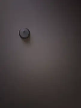 curis4270panda online show from 02.16.26