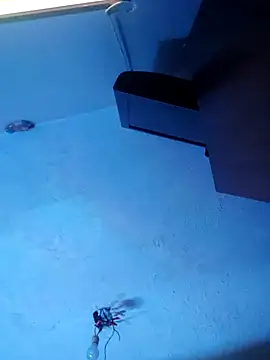 Snapshot of melisa_hot420 chatting on 11.08.25 melisa hot420 online show from 11.08.25