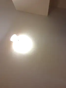 Snapshot of Tannedtattooed69 chatting on 03.06.26 Tannedtattooed69 online show from 03.06.26