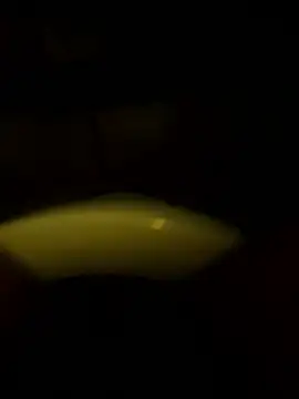 Cock4LadiesONLY online show from 10.11.25