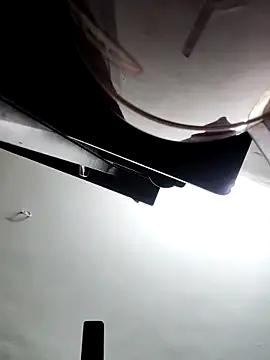 papukurty online show from 02.27.26