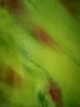 Shiya janu online show from 10.27.25