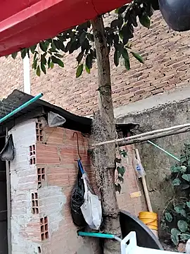 You-sexy-starr online show from 10.09.25