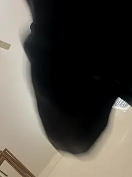 Snapshot of zack6x chatting on 12.02.25 zack6x online show from 12.02.25