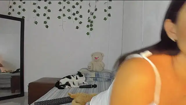 PureFire20 online show from 11.19.25