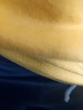 Snapshot of pauzudao_12 chatting on 03.03.26 pauzudao 12 online show from 03.03.26