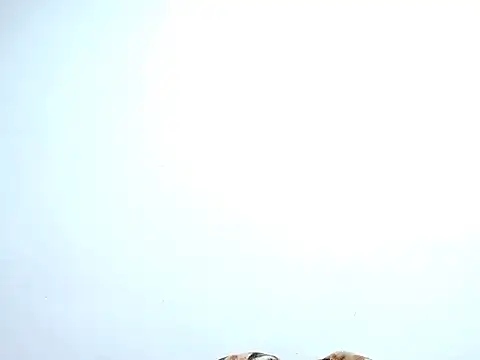 saara johnson496 online show from 10.30.25