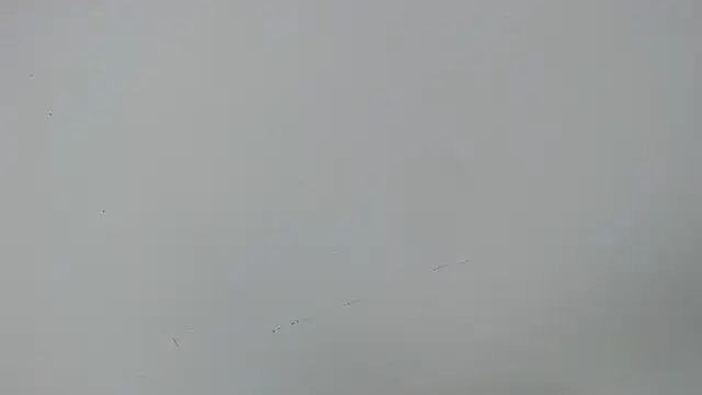 Snapshot of eladyrous98 chatting on 12.17.25 eladyrous98 online show from 12.17.25