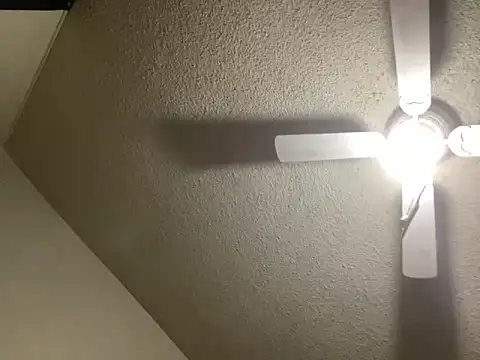 Snapshot of NiftyCaptain3 chatting on 03.31.26 NiftyCaptain3 online show from 03.31.26