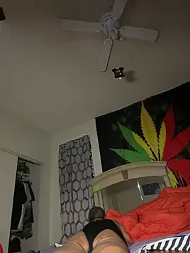 Snapshot of NiftyCaptain3 chatting on 04.03.26 NiftyCaptain3 online show from 04.03.26